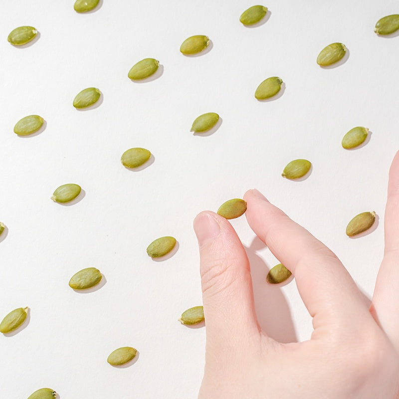 Premium Roasted Green Pumpkin Seed | Biji Labu Hijau
