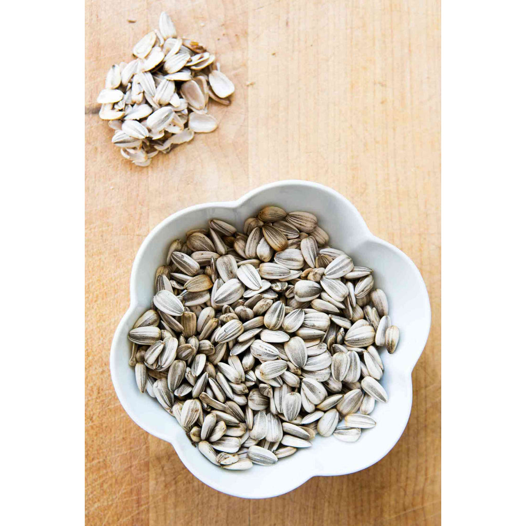 Sunflower Seeds | Biji Bunga Matahari | Kacang Kuaci